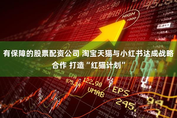 有保障的股票配资公司 淘宝天猫与小红书达成战略合作 打造“红猫计划”